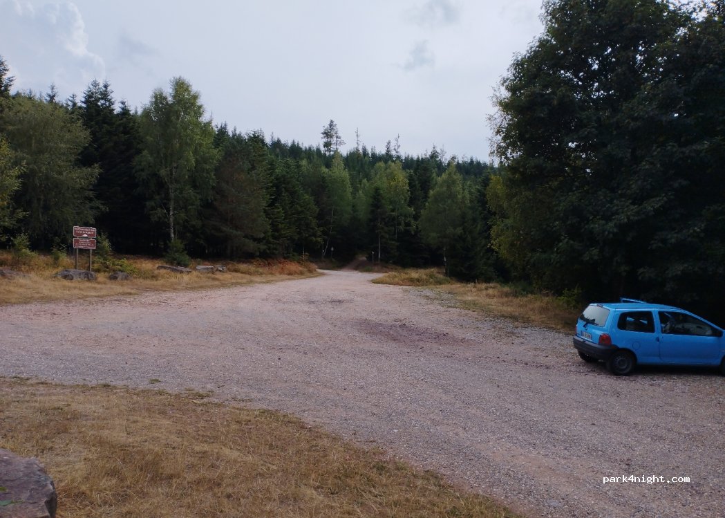 (57850) Dabo - Route de la Schleif — foto 3