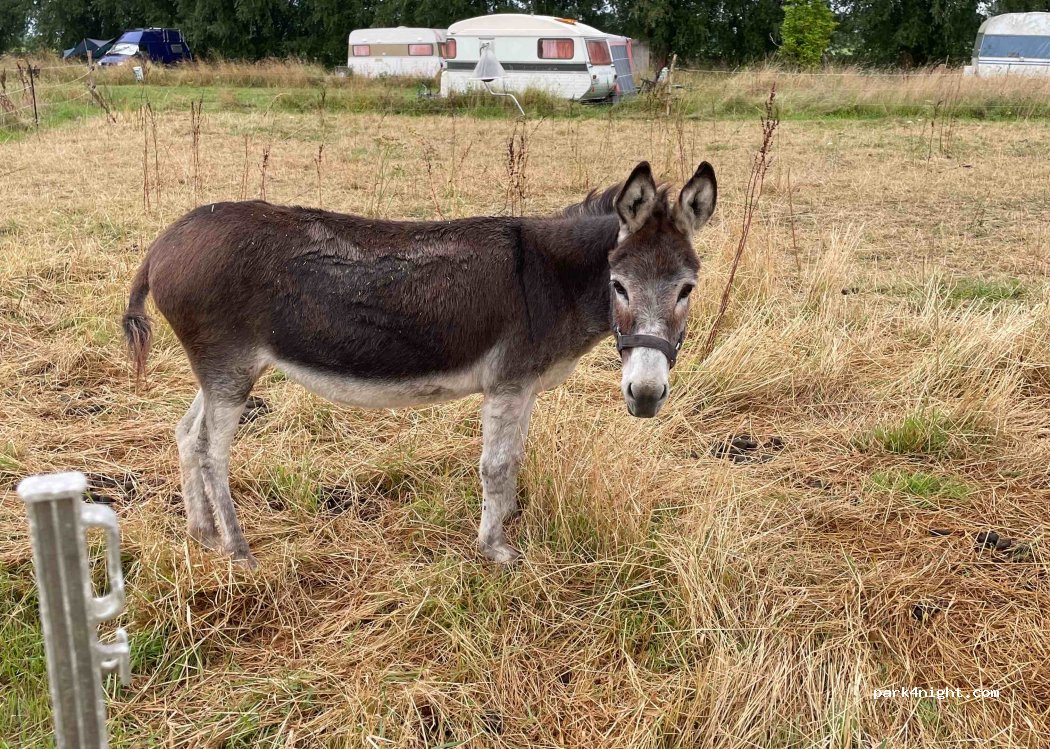 TuinGoed Bonatèr — foto