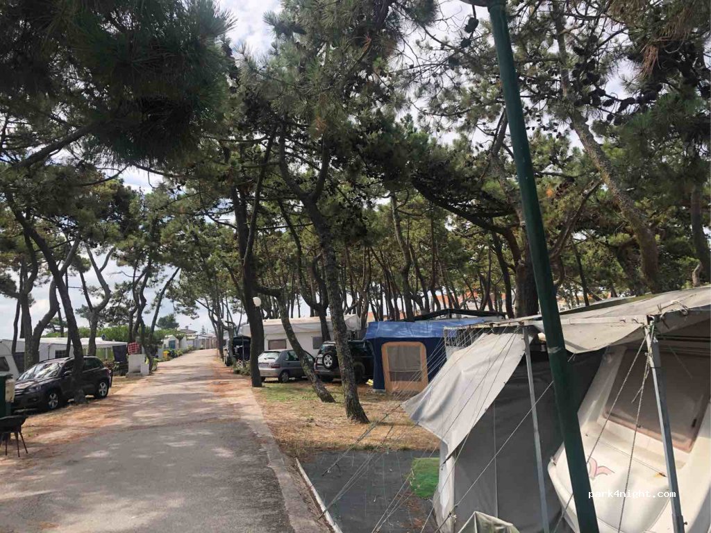 Parque de Campismo - Praia da Barra — foto