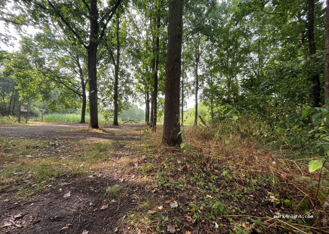 (3999 NS) Tull en Het Waal - — foto