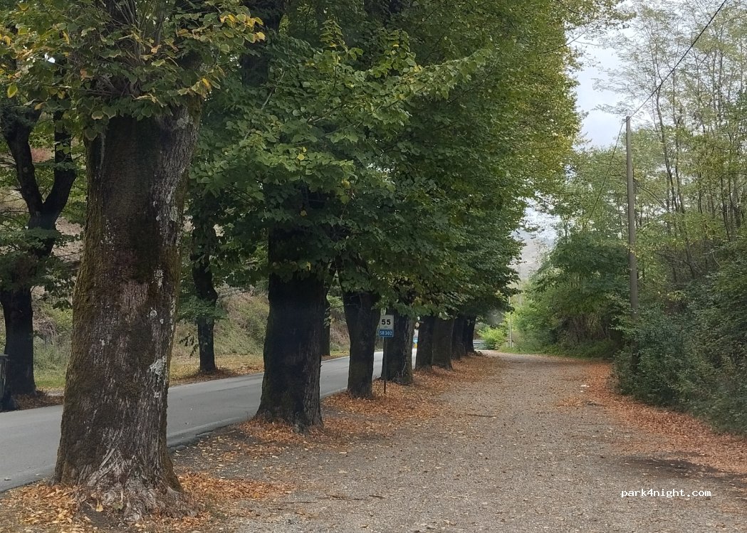 (50034) Marradi - 3C Localita' la Ghiacciaia — foto