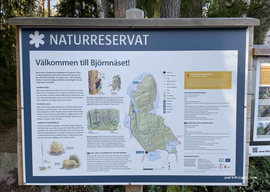 Stora Hammarsjöns naturcamping — foto 5