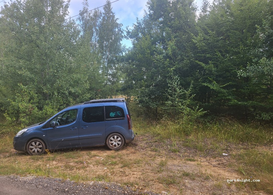 (117495) Morărești - — foto