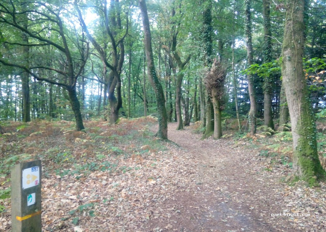 (61700) Domfront en Poiraie - — foto 2