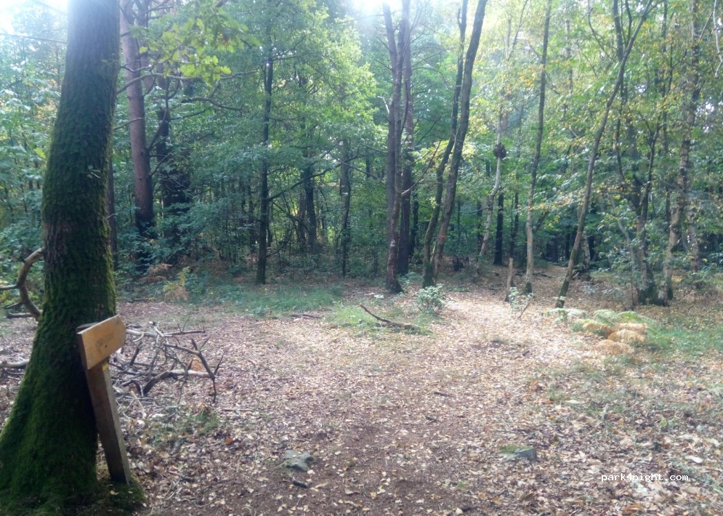 (61700) Domfront en Poiraie - — foto 3