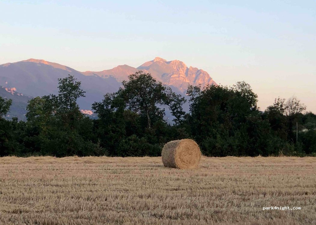 Azienda Agricola Toma — foto