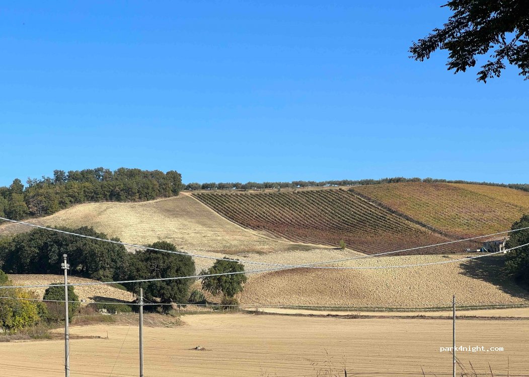 Azienda Agricola Toma — foto 3