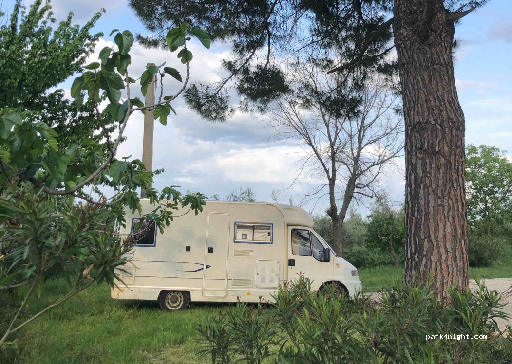 Azienda Agricola Toma — foto 4