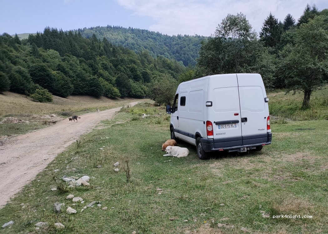 (507160) Zărnești - — foto