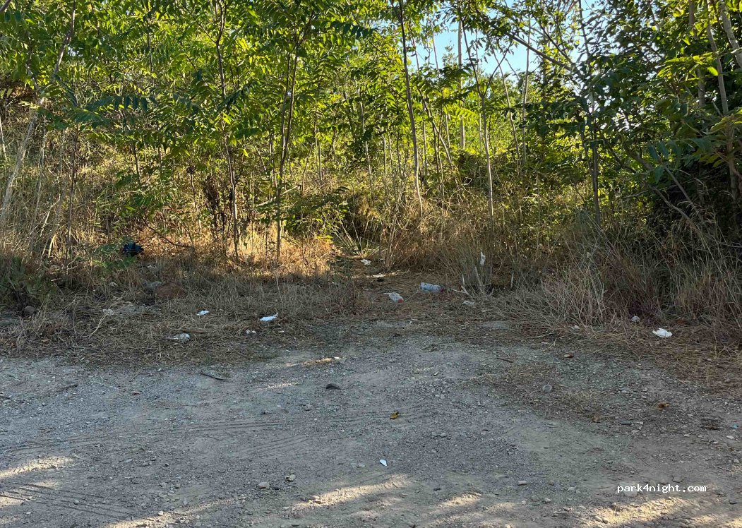 (57037) Portoferraio - SP32 — foto 2