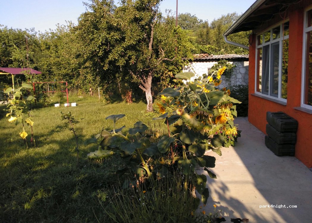 Red Star Hostel & Camping — foto 4