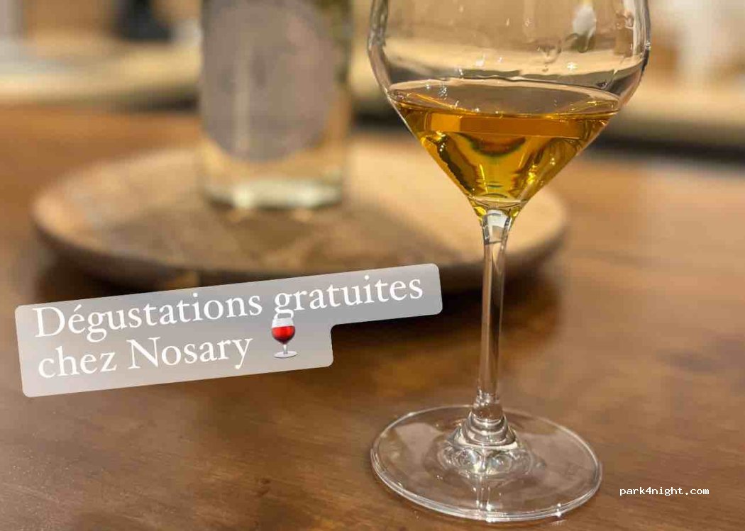 Domaine Nosary — foto 3
