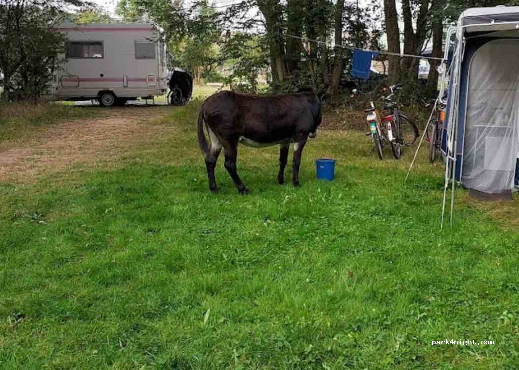 Camping Bois Gerault — foto