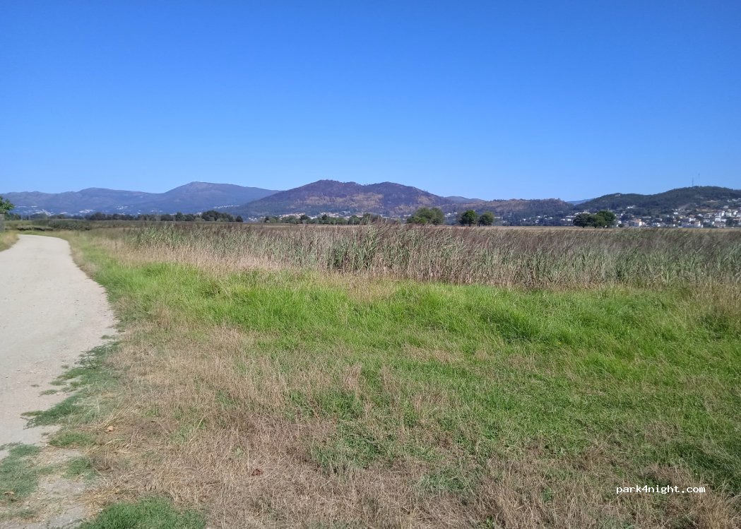 (36760) A Gándara - — foto 2