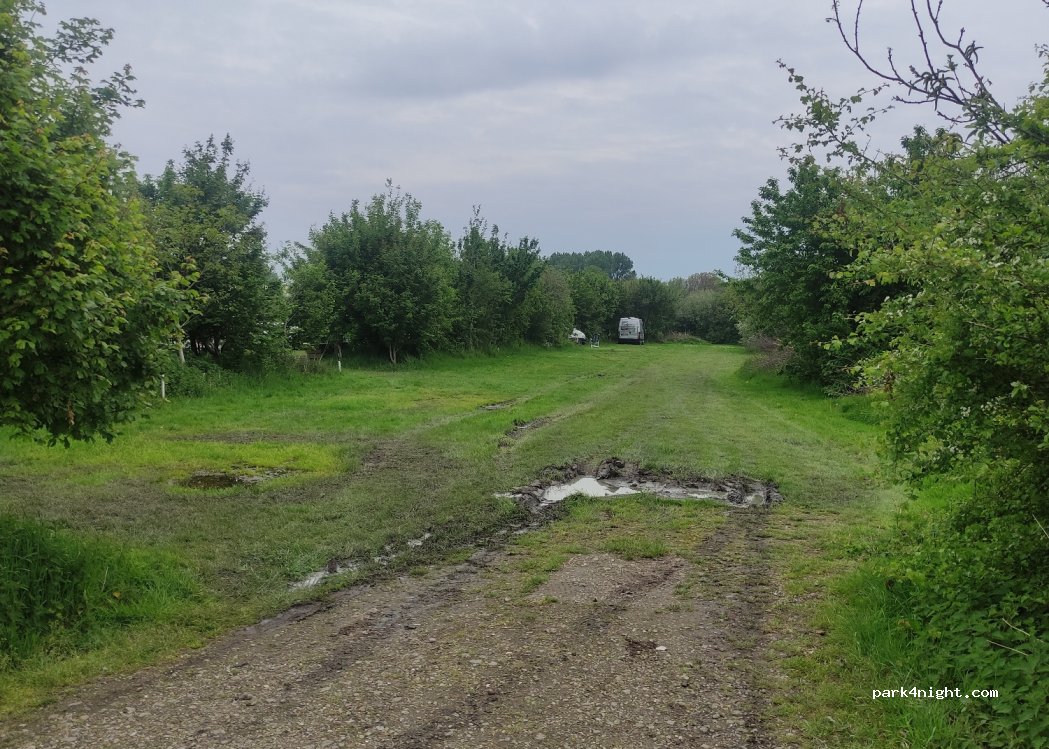 Camping Het Lansingerland — foto 4