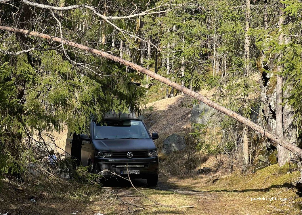 (3550) Gol - 90 Sekundær Fylkesveg 213 — foto 2