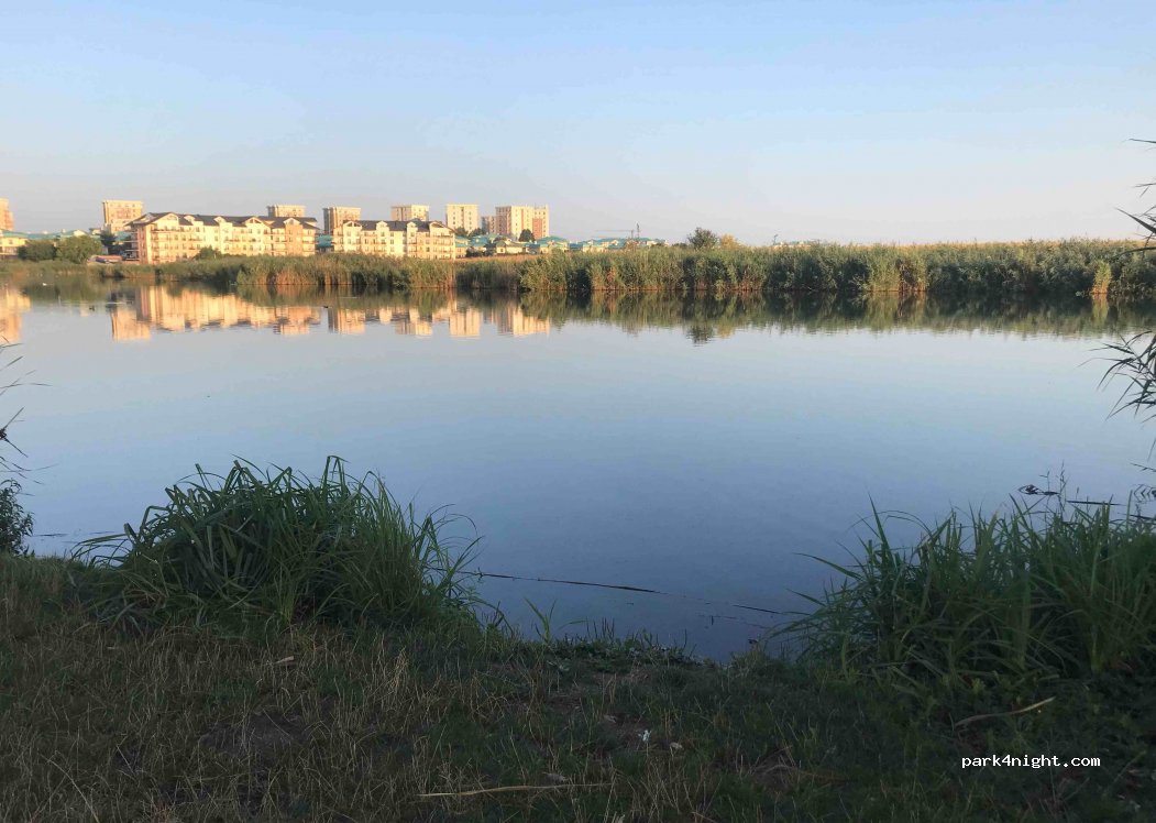 (077010) Crețuleasca - — foto