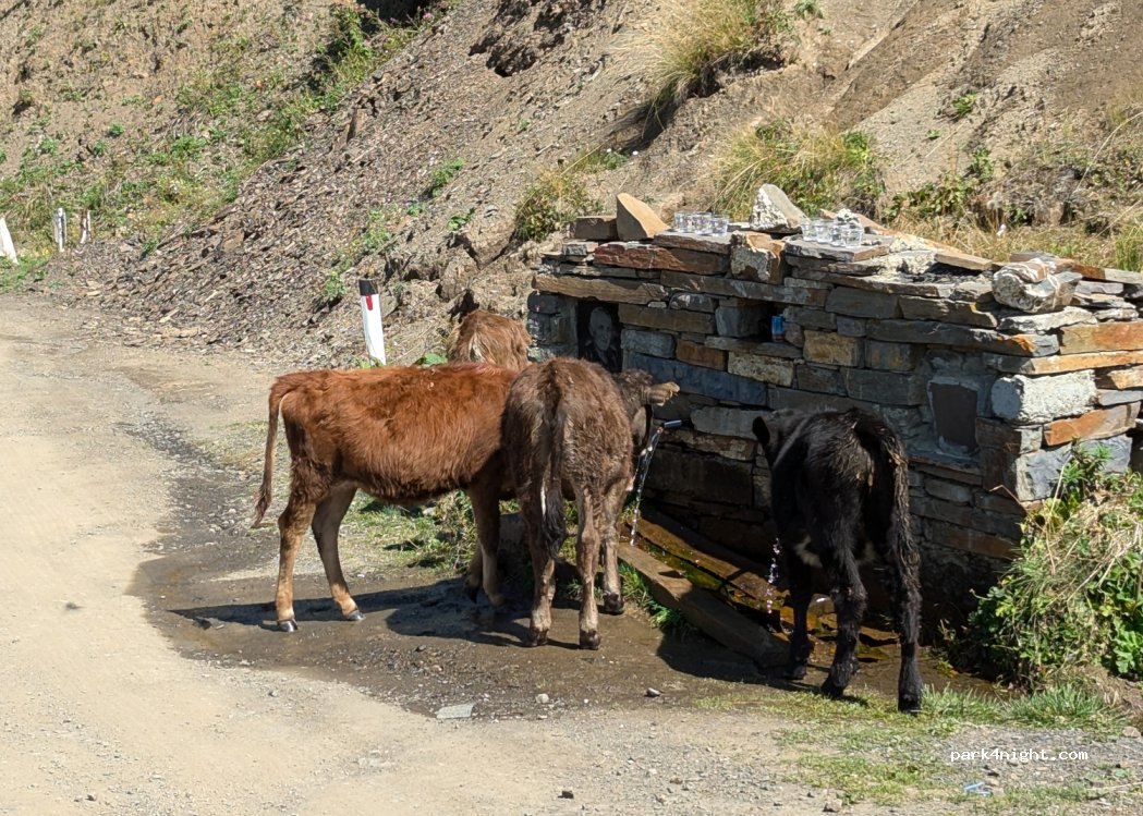 (1806) Biso - Zhinvali-Barisakho-Shatili Road — foto 3