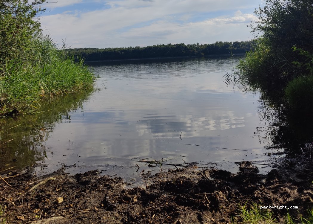 (44) Pławniowice - — foto 2