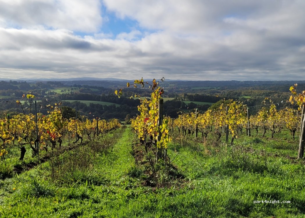 Domaine des Gabies — foto 2