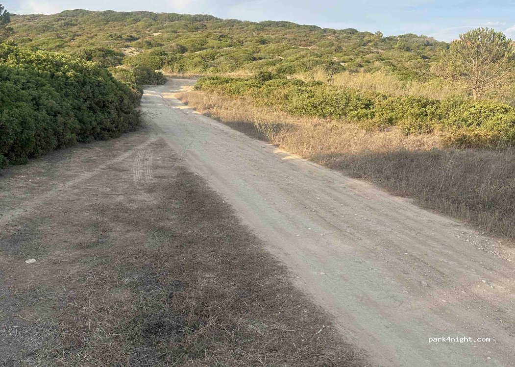 (09072) Funtana Meiga - Viale Tharros — foto 2