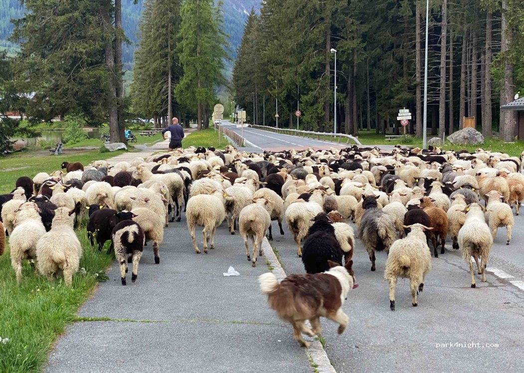 (74400) Chamonix-Mont-Blanc - 1142 Route des Gaillands — foto 4