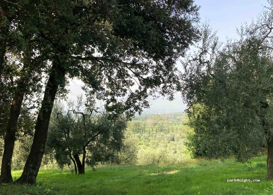 (51036) 51036 - 726 Via Pozzuolo — foto 4