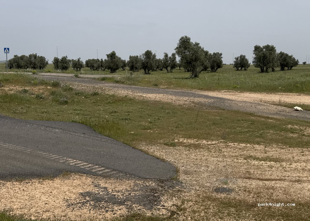 (13431) Villar del Pozo - Unnamed road — foto 2