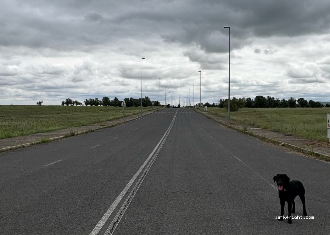(13431) Villar del Pozo - Unnamed road — foto 4