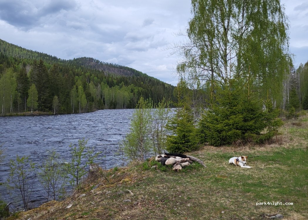 (680 65) Höljes - — foto
