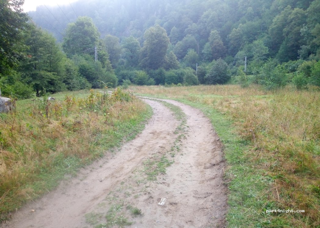 (547382) Sălard - — foto