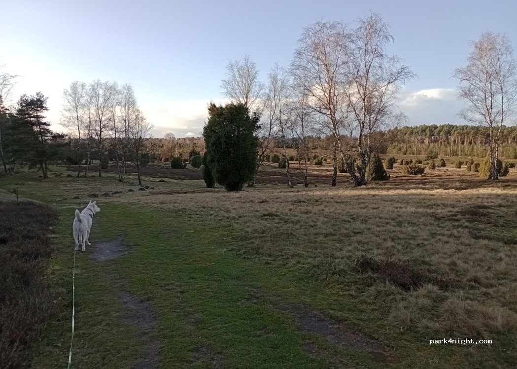 (29578) Eimke - — foto 3