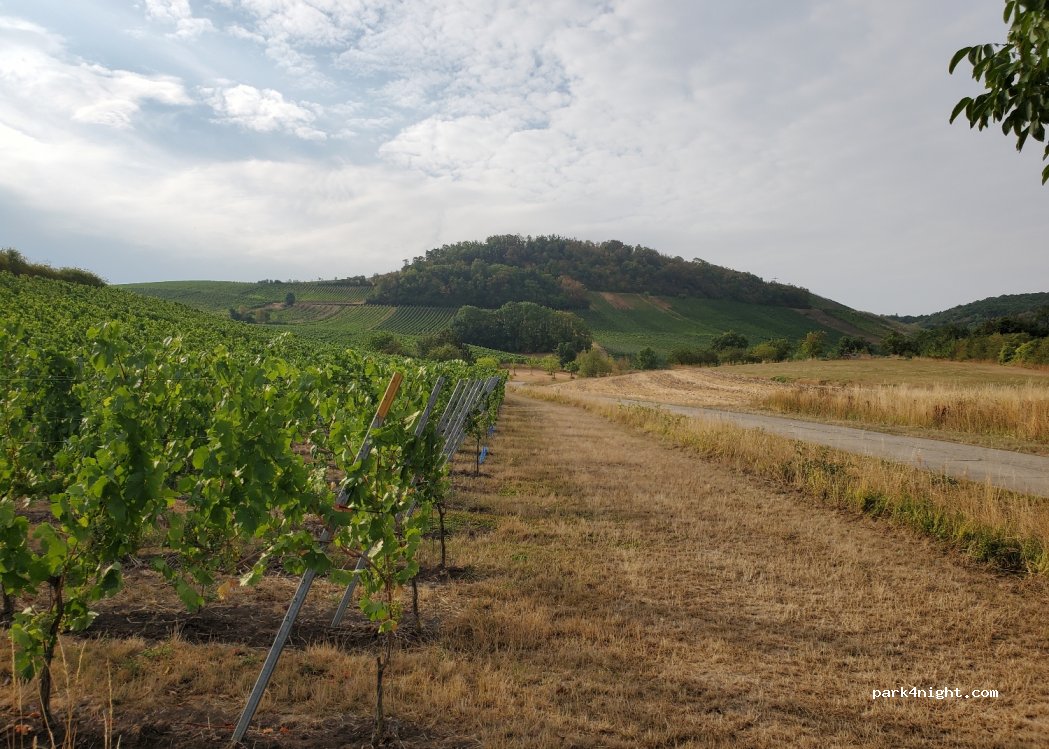 (97348) Willanzheim - Unnamed Road — foto