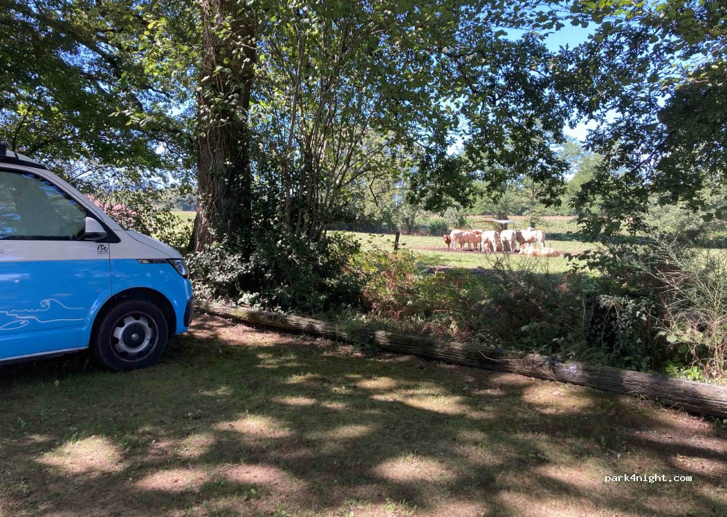 (65300) Uglas - 8 Chemin de Caounat — foto 4