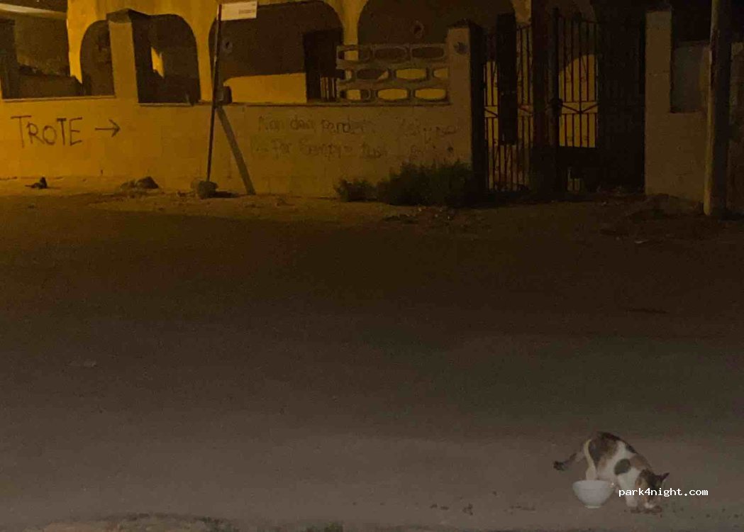 (74122) Taranto - 13 Via Cannolicchi — foto 3