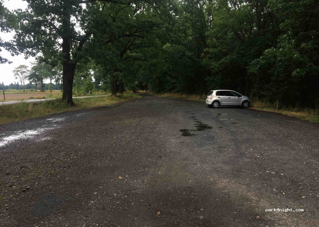(386 01) Čejetice - Unnamed Road — foto