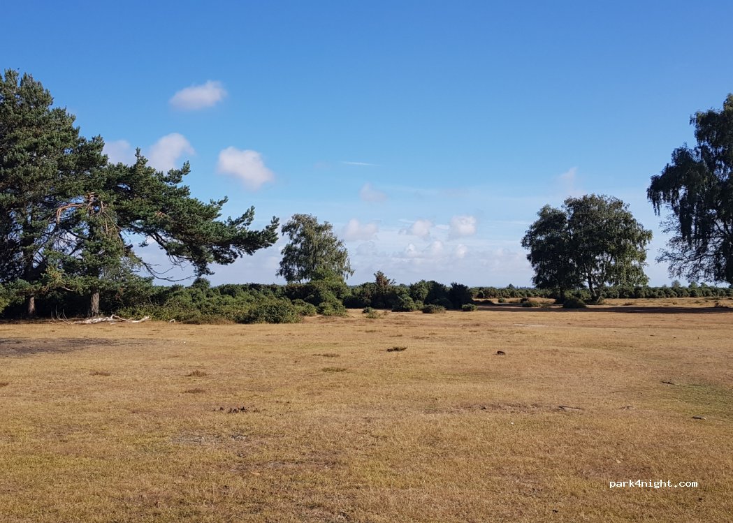 Roundhill Campsite — foto