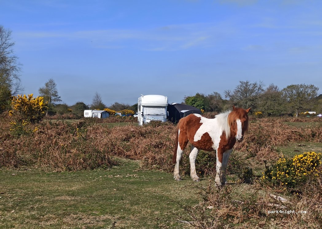 Roundhill Campsite — foto 5