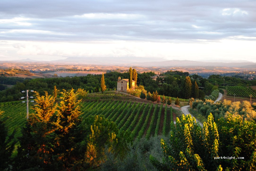 Winery San Giorgio a Lapi — foto
