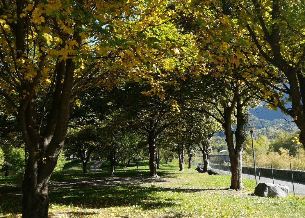 Campeggio Pradella — foto 3