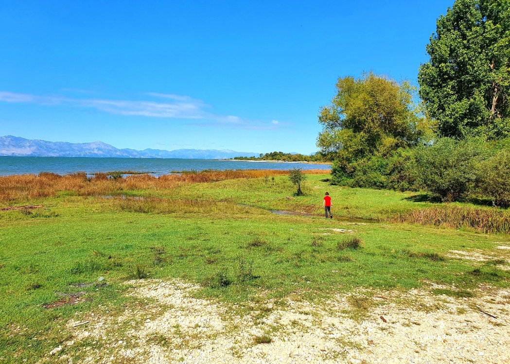 (4302) Grude Fushe - Unnamed road — foto 2