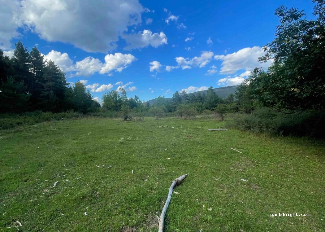 (17538) Masella - — foto