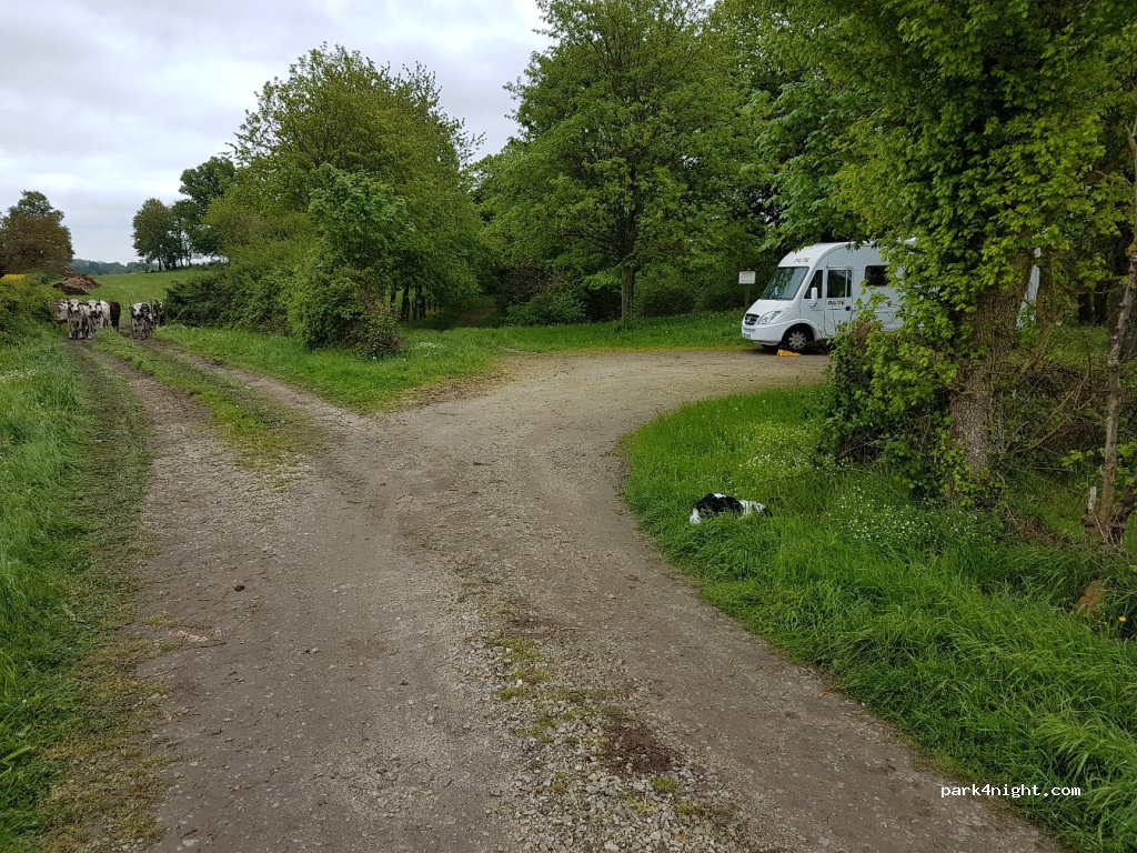 (53370) Saint-Pierre-des-Nids - Unnamed Road — foto
