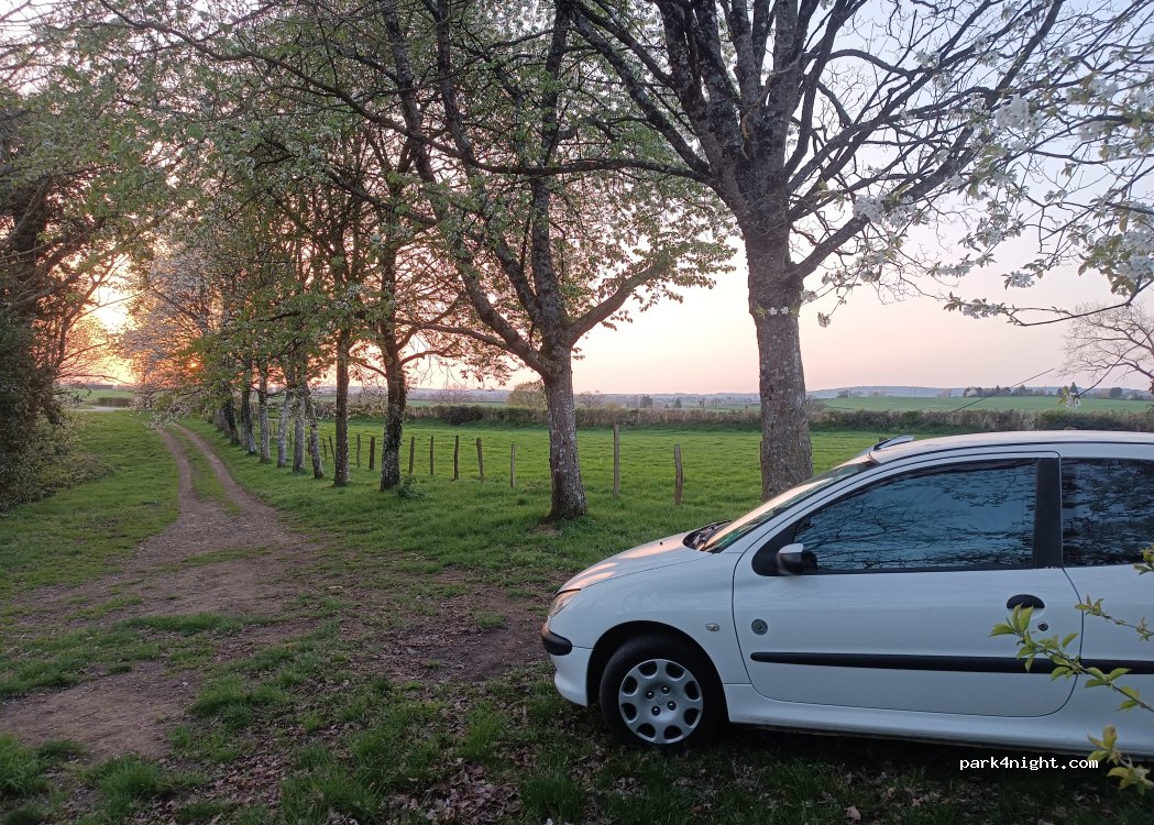 (53370) Saint-Pierre-des-Nids - Unnamed Road — foto 5