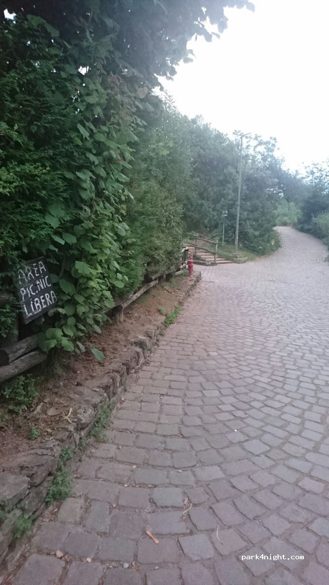 (19132) La Spezia - 801 Strada Provinciale delle Cinque Terre — foto