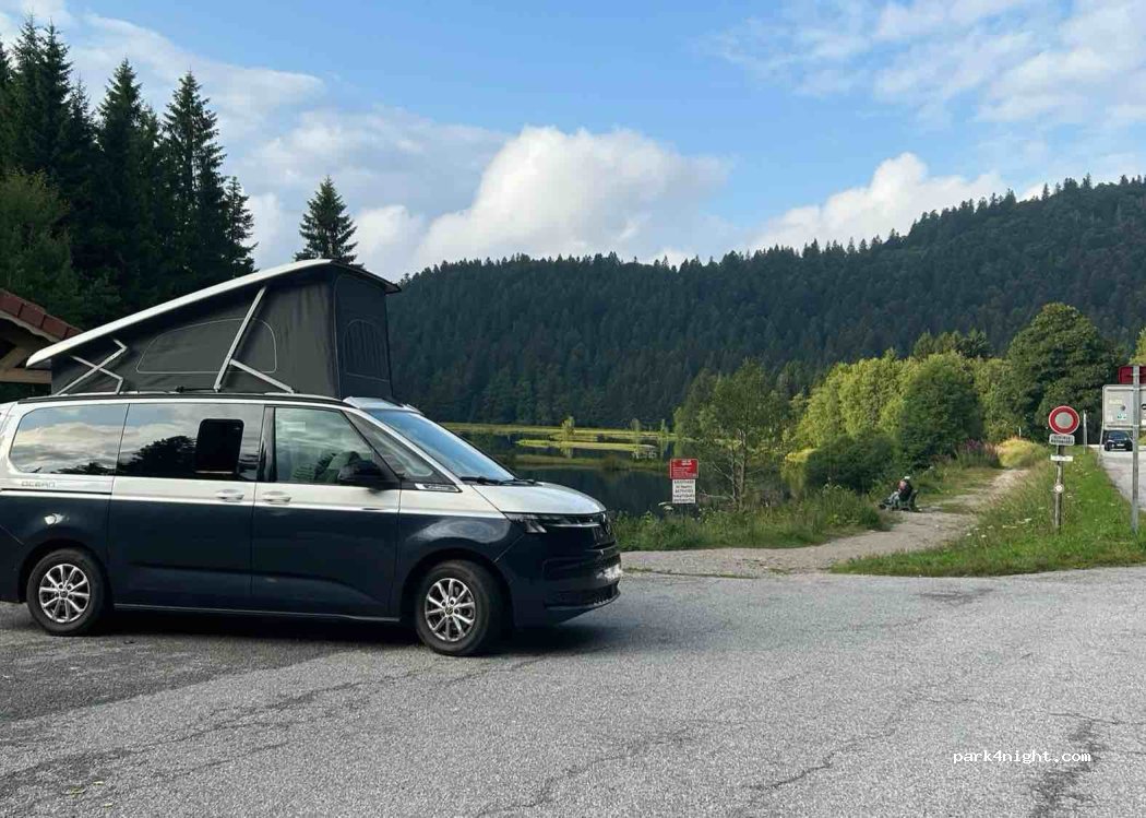 (88250) La Bresse - 42 Route de Lispach — foto 5
