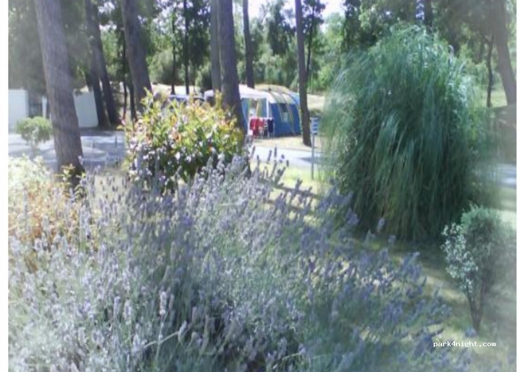Camping Le Mus de Loup — foto