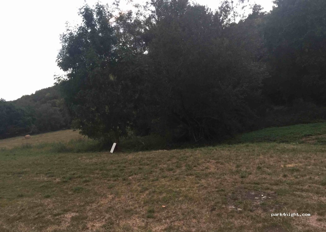 (36220) Lurais - 8 D50 — foto 2