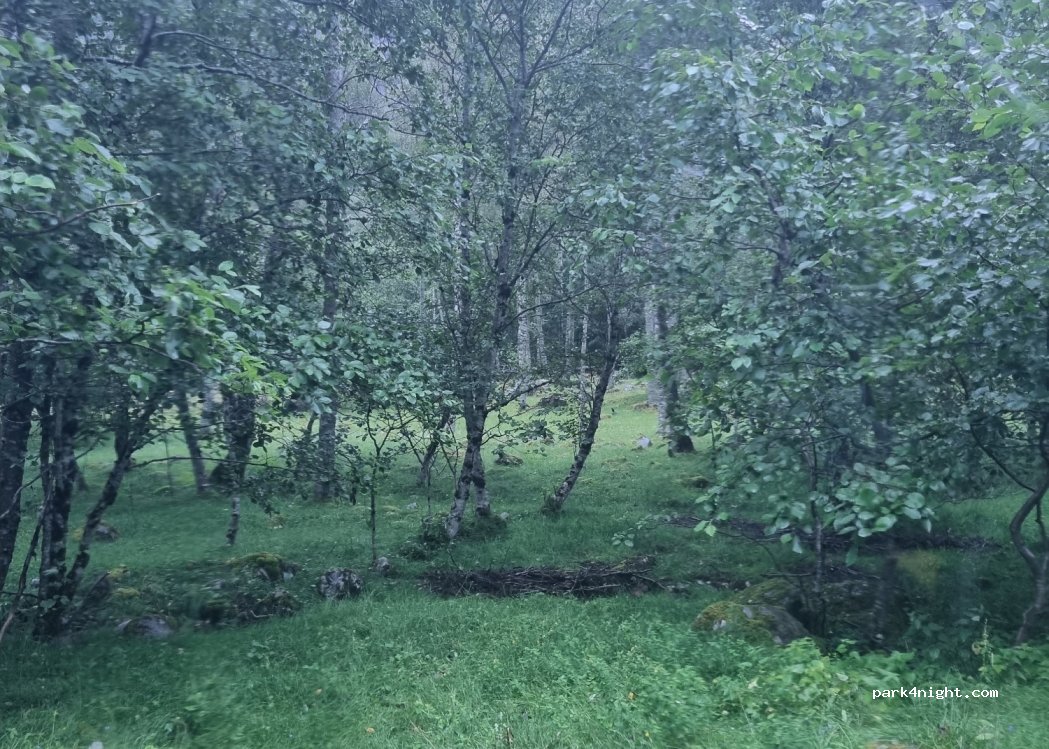 (5387) Eidfjord - — foto 2
