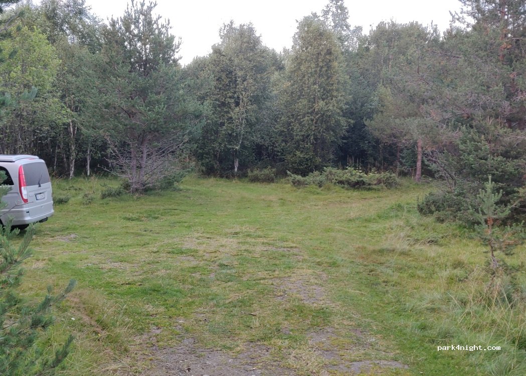 (2660) Blestergrende - — foto
